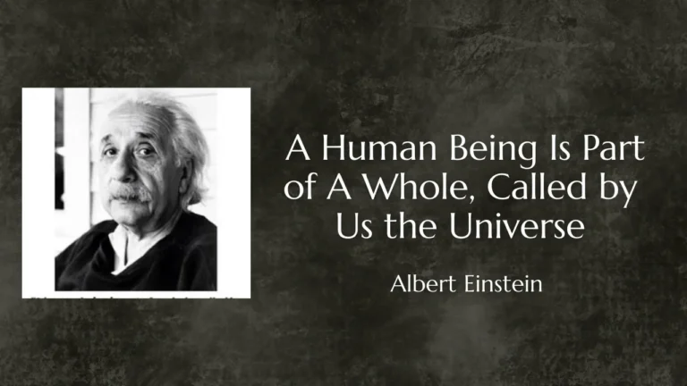 Quote of The Day by Albert Einstein