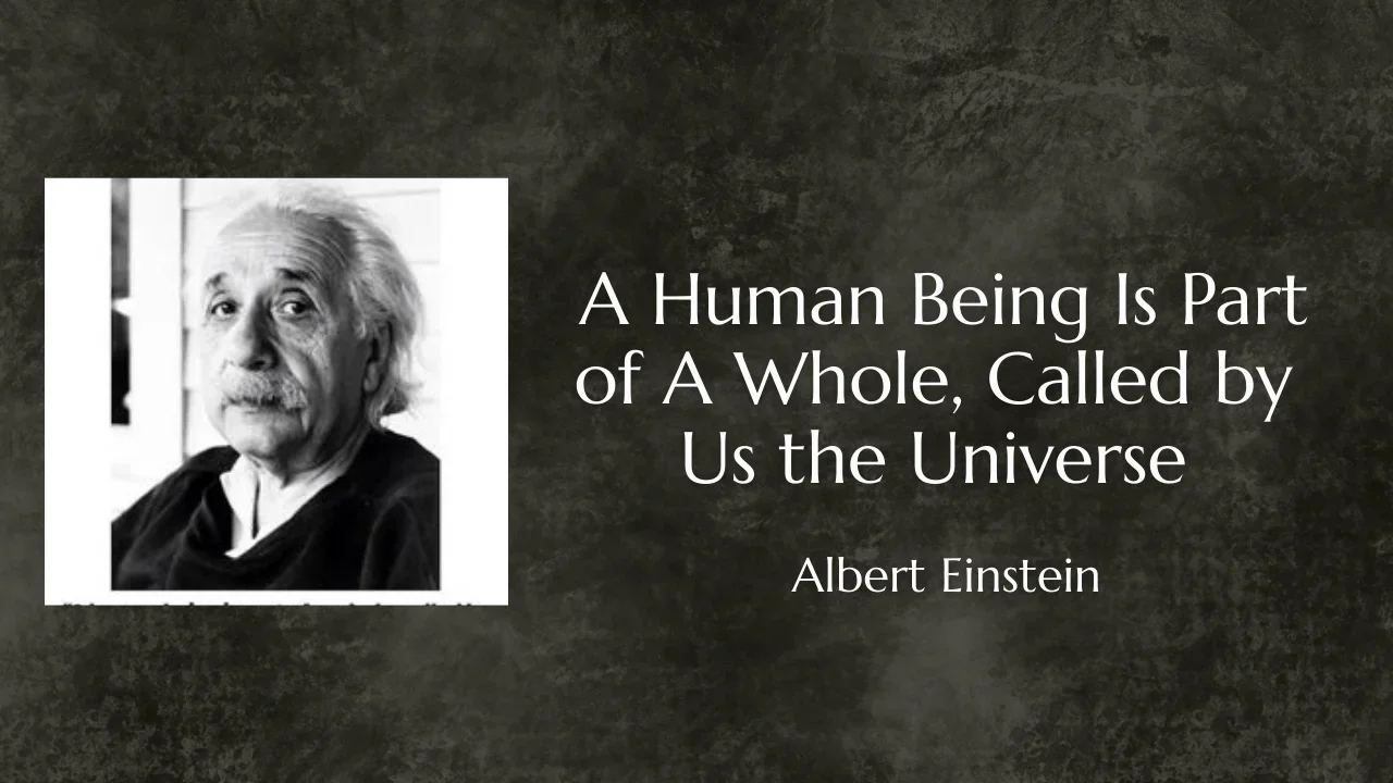 Quote of The Day by Albert Einstein